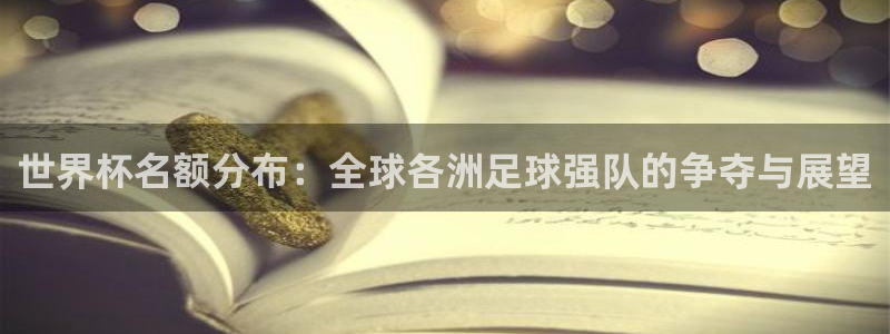 2026年世界杯：世界杯名额分布：全球各洲足球强队的争夺与展望