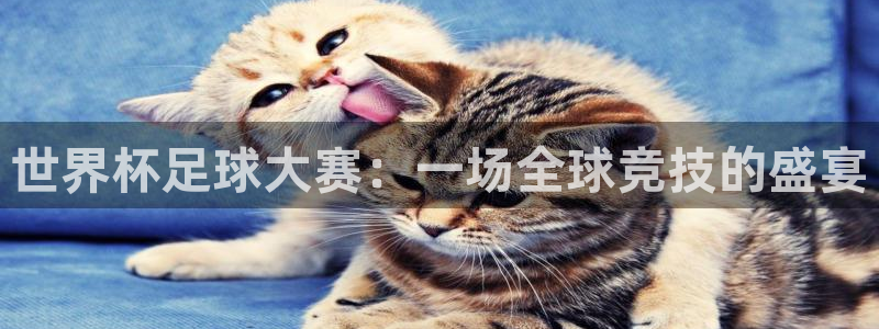 世界杯2026赛程：世界杯足球大赛：一场全球竞技的盛宴