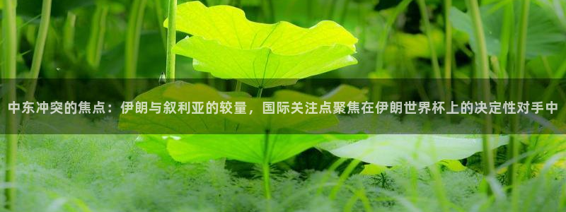 2026世界杯：中东冲突的焦点：伊朗与叙利亚的较量，国际关注点聚焦在伊朗世界杯上的决定性对手中