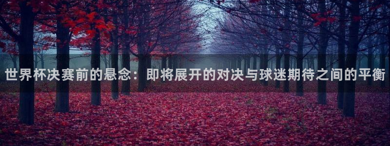 世界杯欧洲区世预赛赛程：世界杯决赛前的悬念：即将展开的对决与球迷期待之间的平衡