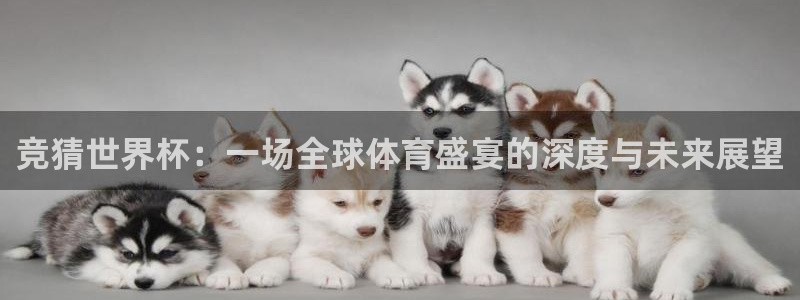 2026年世界杯对阵图：竞猜世界杯：一场全球体育盛宴的深度与未来展望