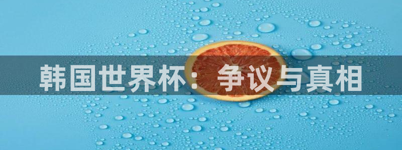 2026世界杯赛程：韩国世界杯：争议与真相