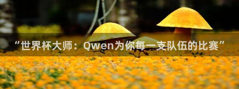 世界杯预选赛亚洲：“世界杯大师：Qwen为你每一支队伍的比赛”