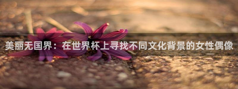 世界杯赛程表2026：美丽无国界：在世界杯上寻找不同文化背景的女性偶像