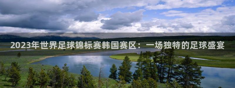 世界杯直播高清：2023年世界足球锦标赛韩国赛区：一场独特的足球盛宴