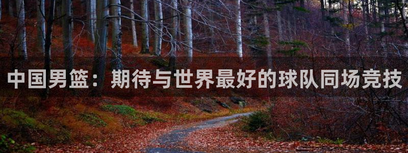 2006年世界杯冠军：中国男篮：期待与世界最好的球队同场竞技