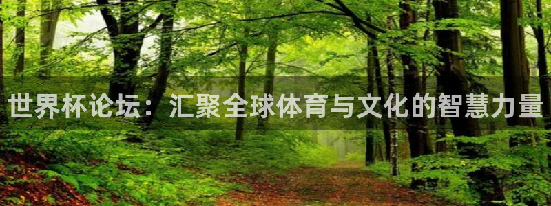 世界杯决赛圈球队：世界杯论坛：汇聚全球体育与文化的智慧力量