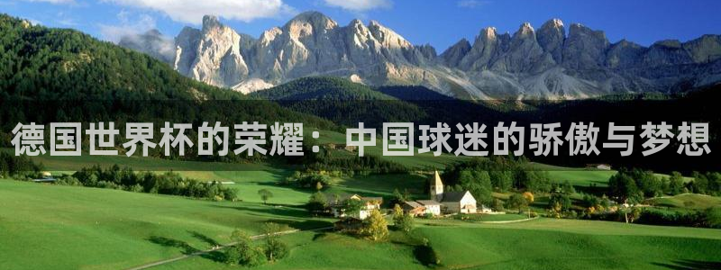 亚洲杯足球：德国世界杯的荣耀：中国球迷的骄傲与梦想