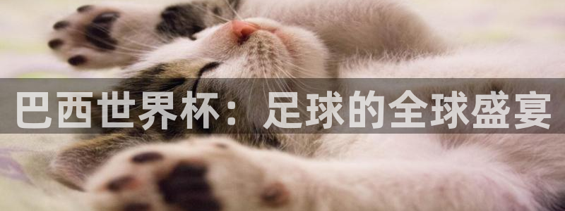 2026世界杯足球赛程时间表：巴西世界杯：足球的全球盛宴