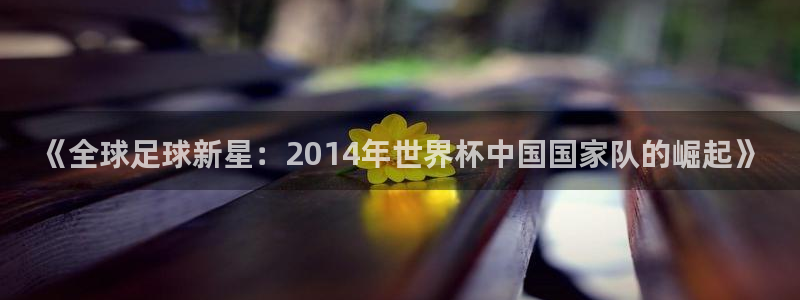 世界杯足球2026：《全球足球新星：2014年世界杯中国国家队的崛起》